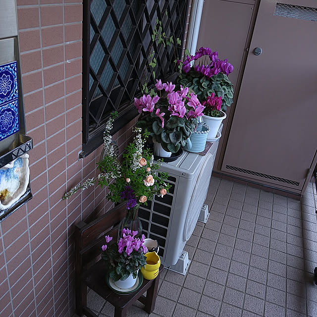 okyosan101さんの実例写真