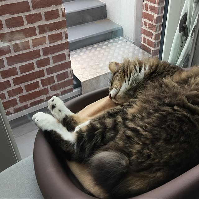 yuchiさんの実例写真