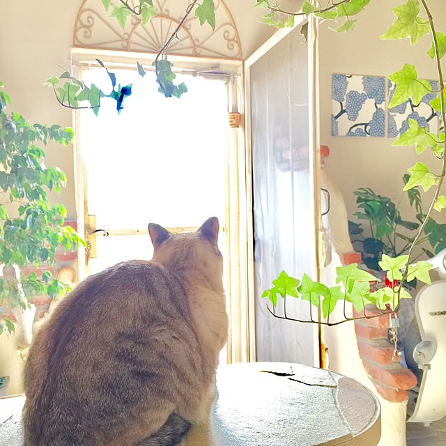 rosemaryさんの実例写真