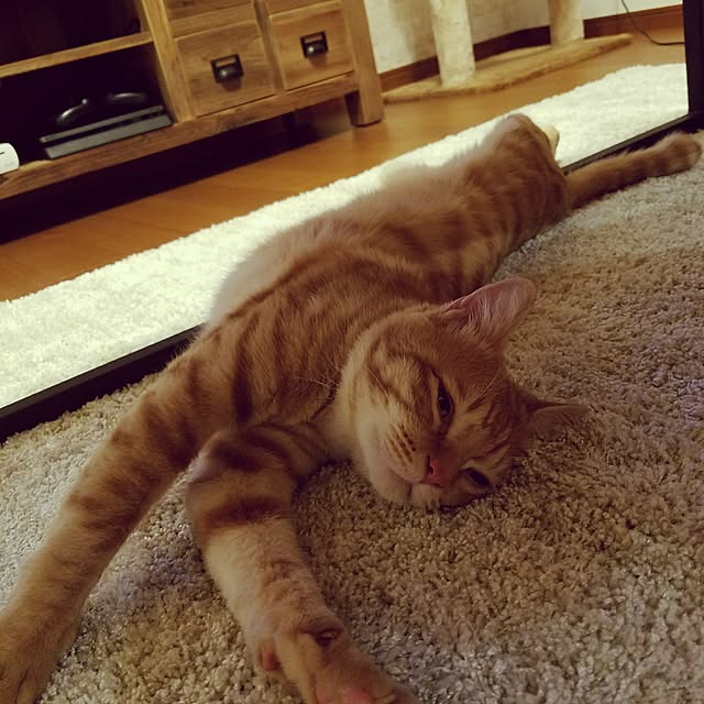 C.Tさんの実例写真