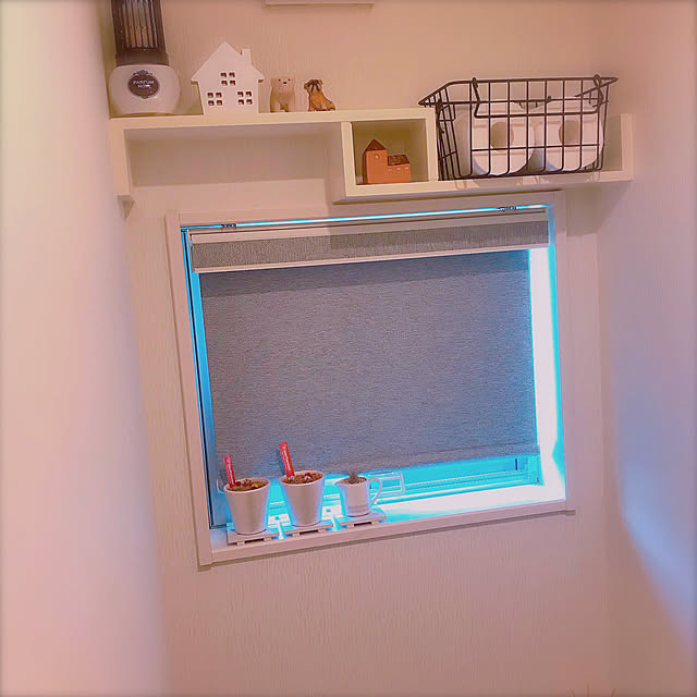 ttf___bさんの実例写真