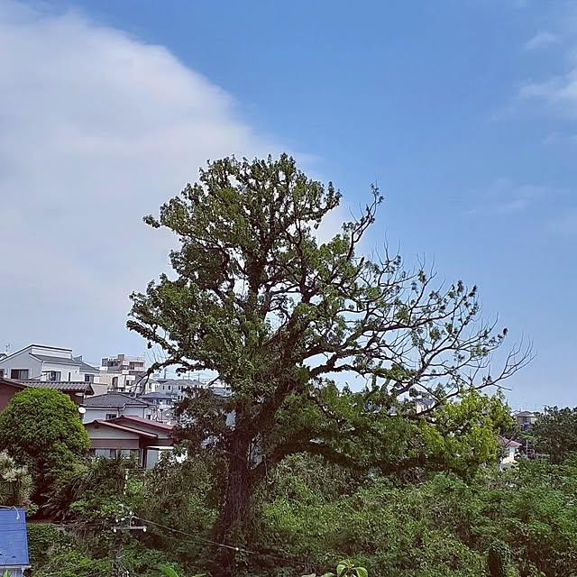 takayasuさんの部屋