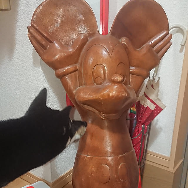 xxxakyxxxさんの実例写真