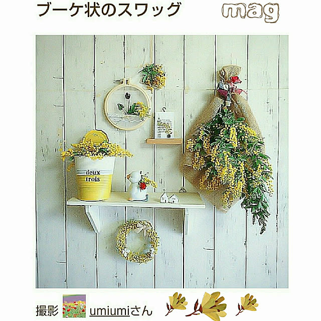 umiumiさんの実例写真
