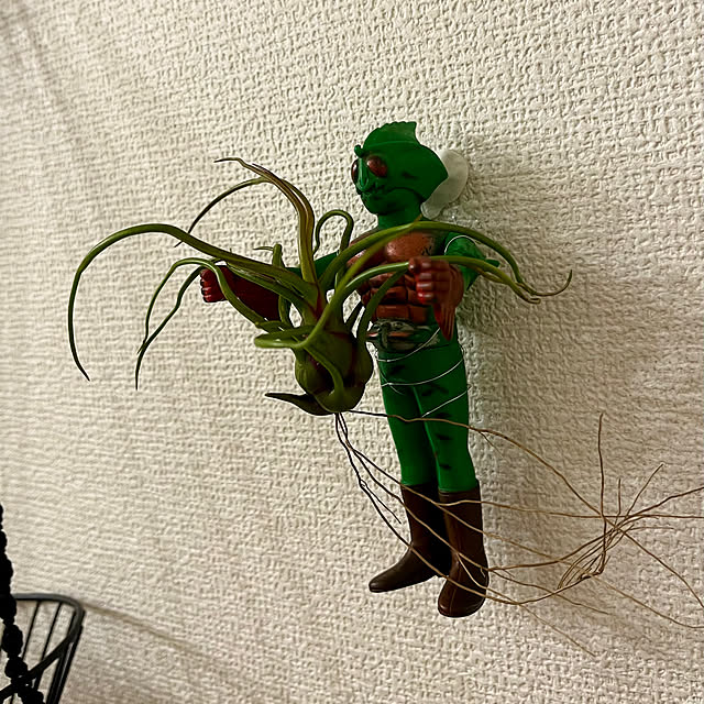 sotoさんの実例写真
