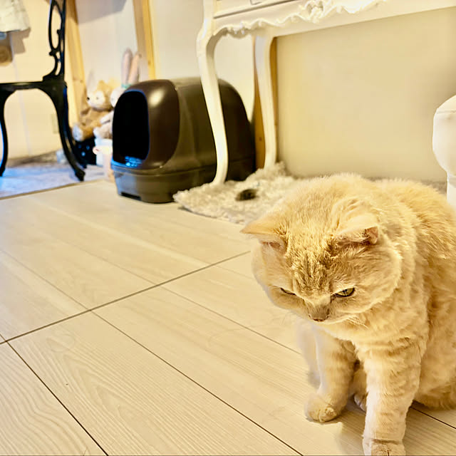naokoさんの部屋