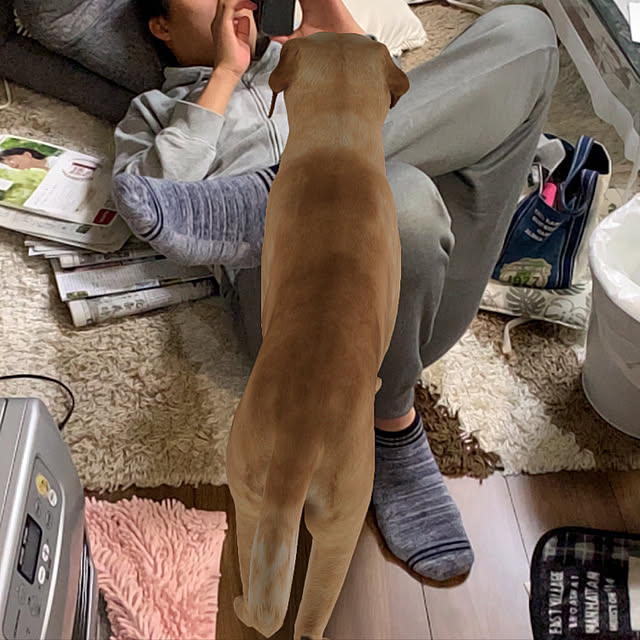 Aqettyさんの実例写真