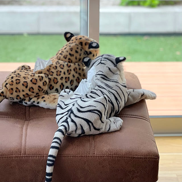 Yuuuuuさんの実例写真