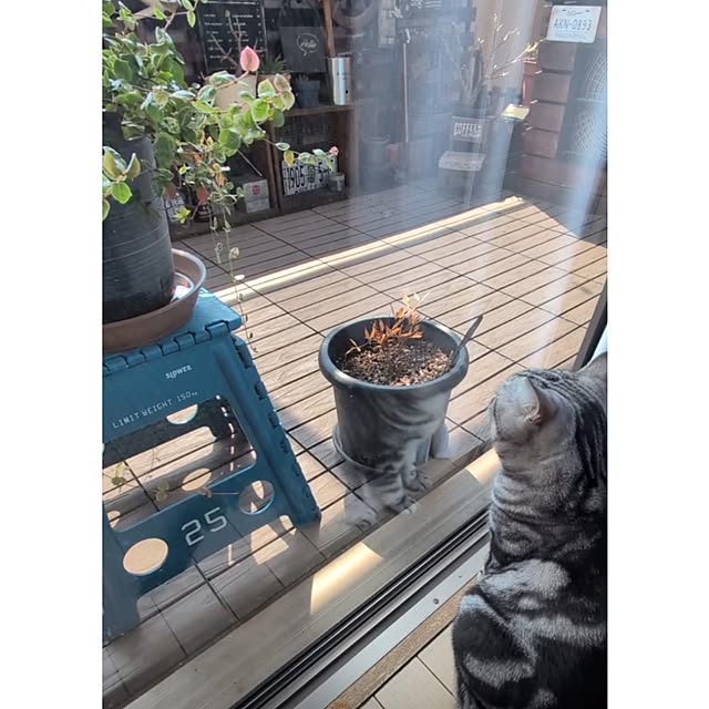 lovepeaceさんの部屋