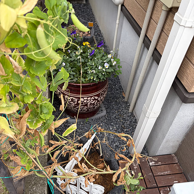 tanboさんの部屋