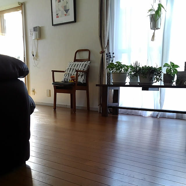 Renさんの実例写真