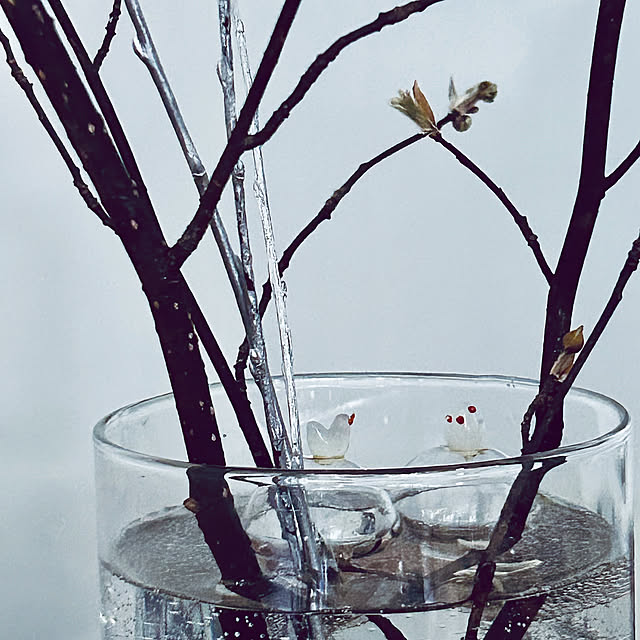 DAYONEさんの部屋