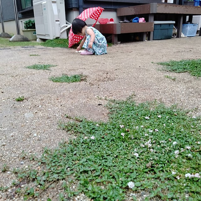 hiroさんの実例写真