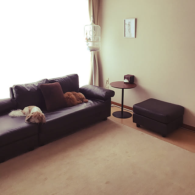 my_homeさんの実例写真