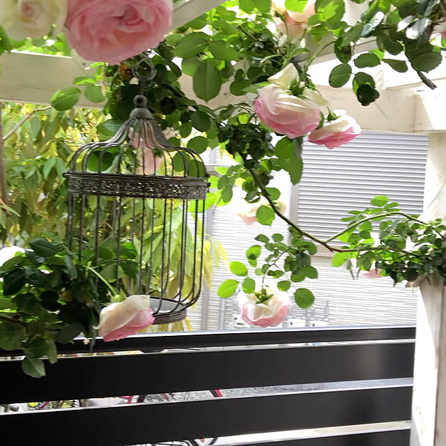 shabbycottage_saoriさんの部屋