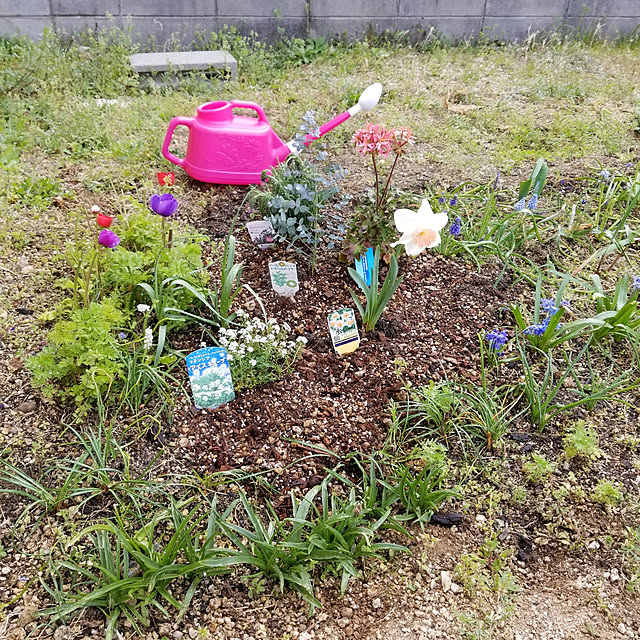 kanako97さんの実例写真