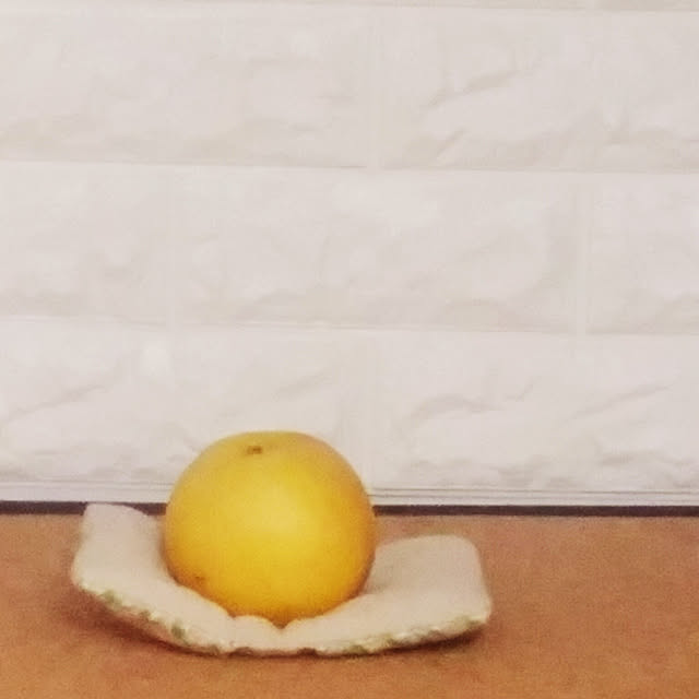 yosさんの実例写真