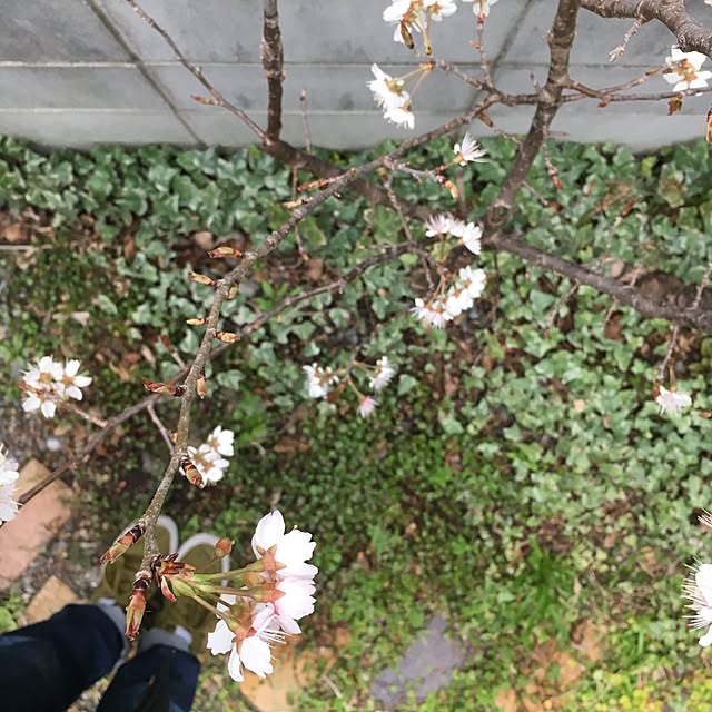 Yukaさんの実例写真