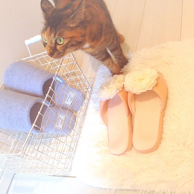 Satomiさんの実例写真