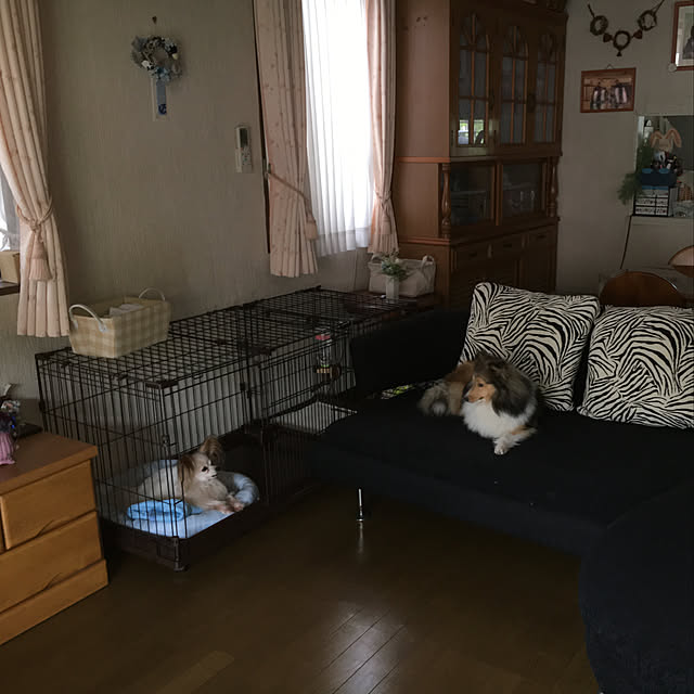 konokonoさんの実例写真