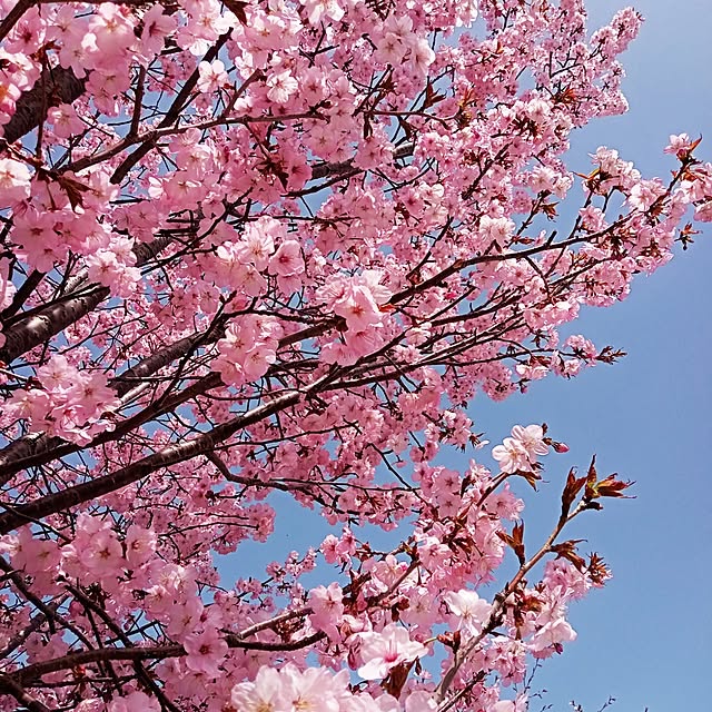 mahiro34さんの部屋