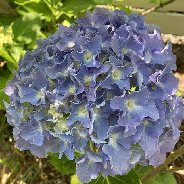 min_nimさんの実例写真