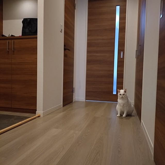 NOAHさんの実例写真