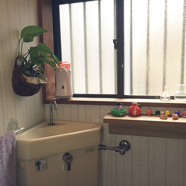 satominさんの実例写真