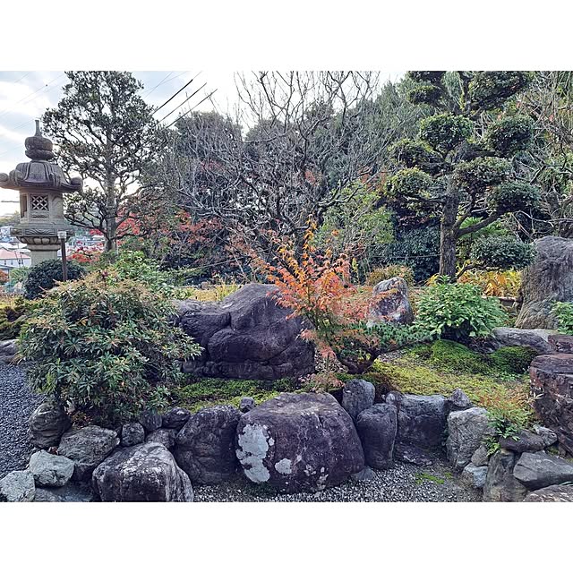 waniwaniさんの部屋