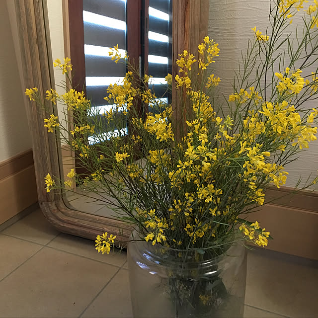 y.yoshimi4437さんの実例写真