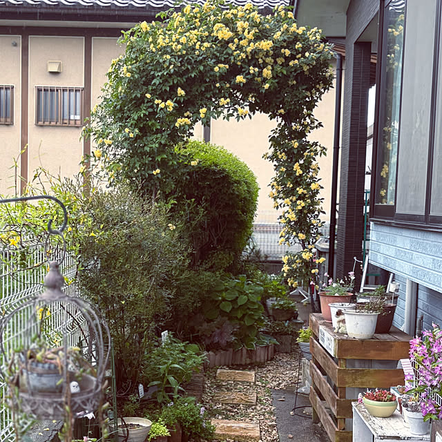 CoCo0617さんの部屋