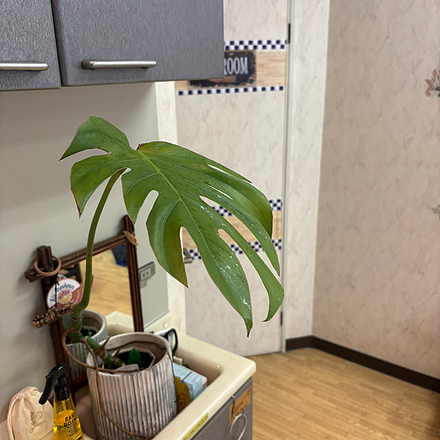 icietlaさんの部屋
