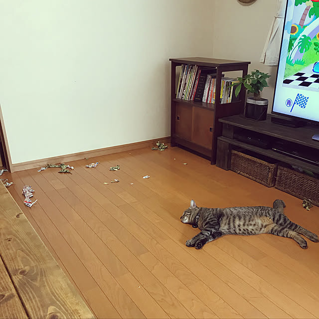mikan161さんの実例写真