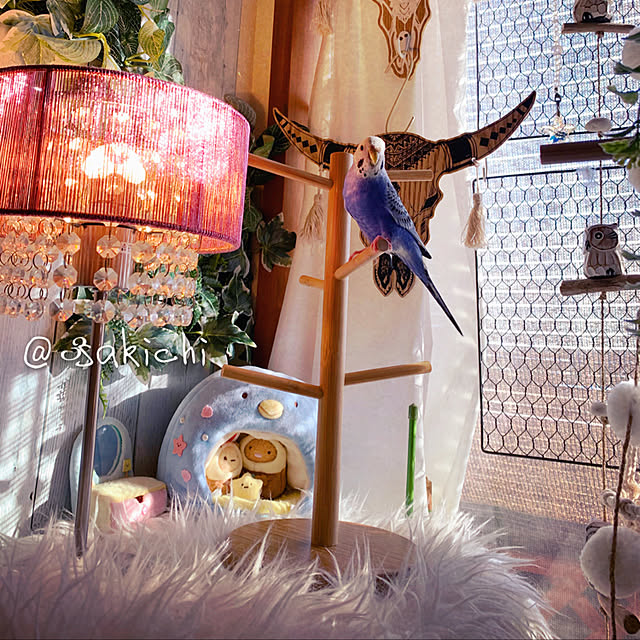 SAKICHIさんの実例写真