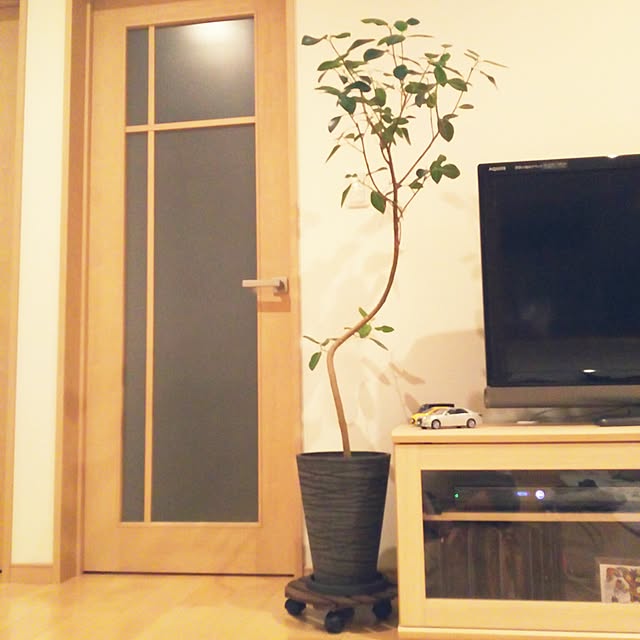 chiiさんの実例写真