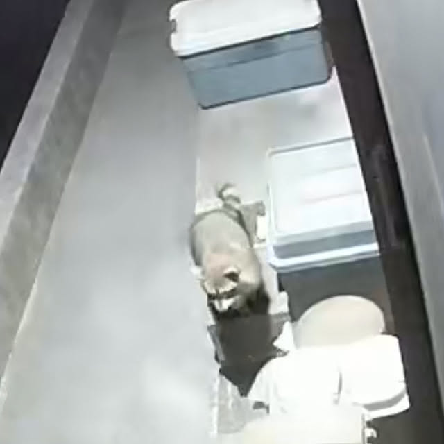 mizuyoさんの部屋