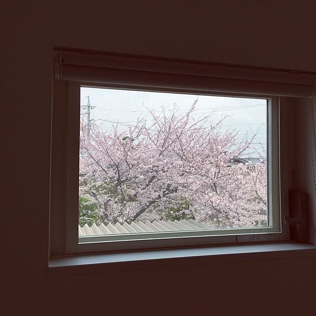 R.さんの実例写真