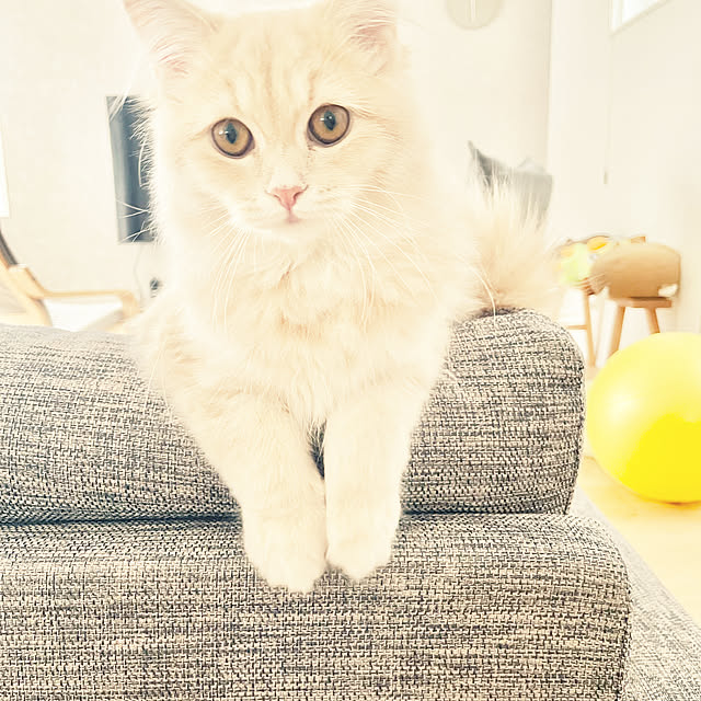 kさんの部屋