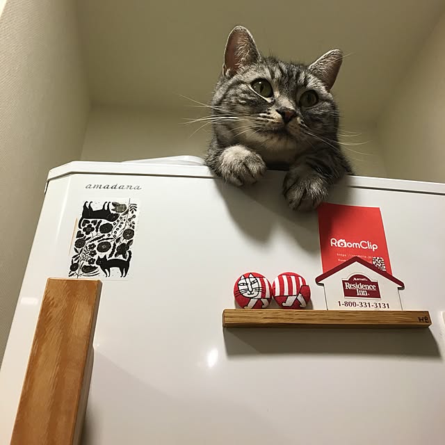 mikomaruさんの実例写真