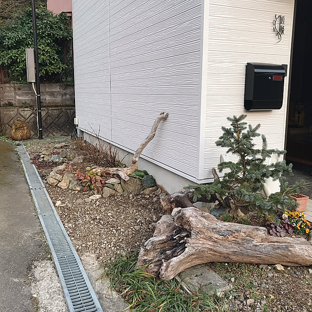 pepeさんの実例写真