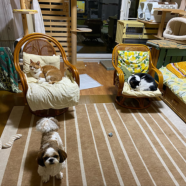 SHIHOさんの実例写真