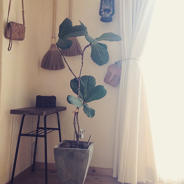 DailyRoomclip