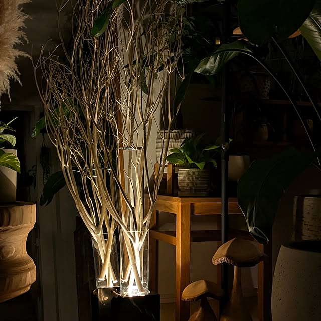 ayamameさんの部屋