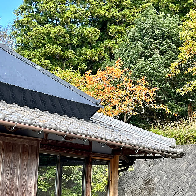 cotaさんの部屋