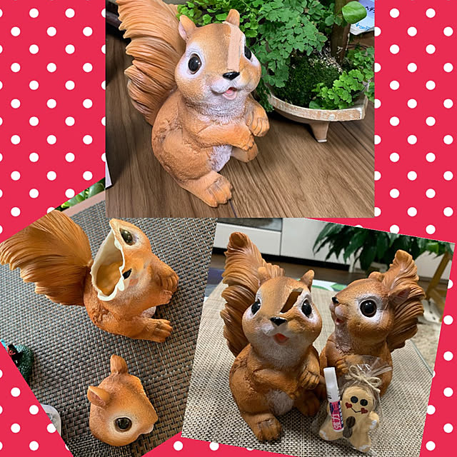 Aqettyさんの実例写真