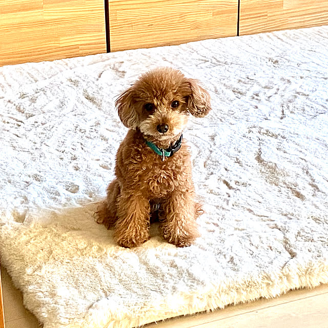 ryoさんの部屋