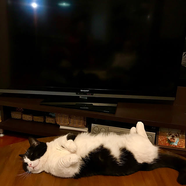 butachanさんの実例写真