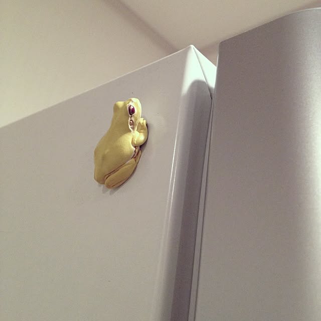 dicekbeetleさんの実例写真