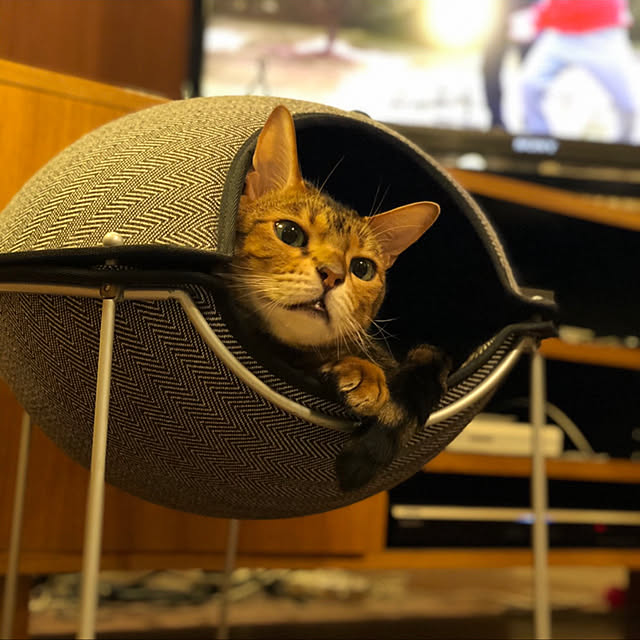 valekさんの実例写真