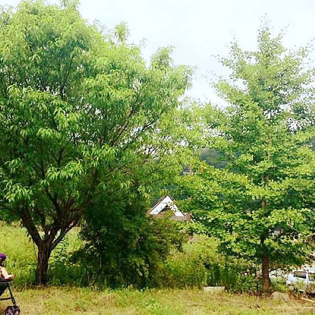 pepeさんの実例写真